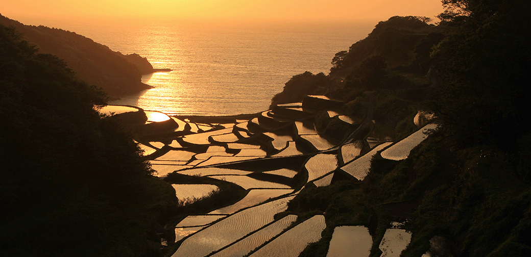 宮崎県庁