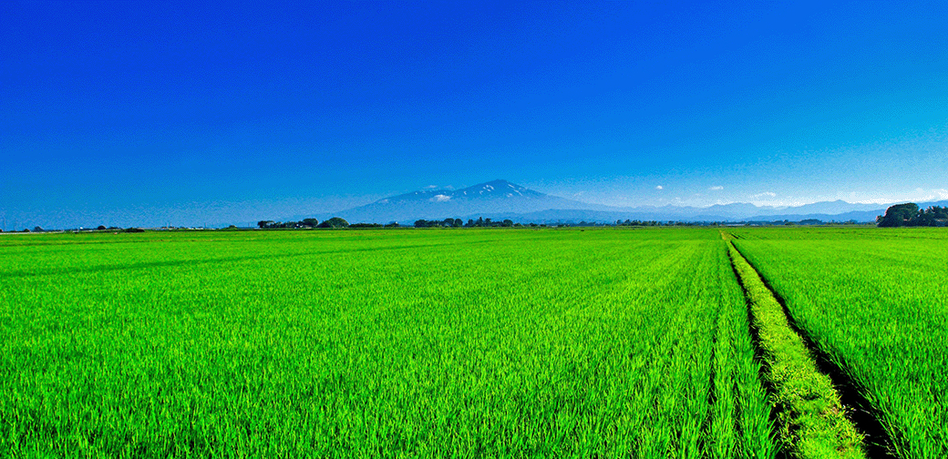 楢葉町